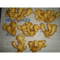 2021 Excellence price Wholesale Chinese High Quality Fresh Wet Ginger